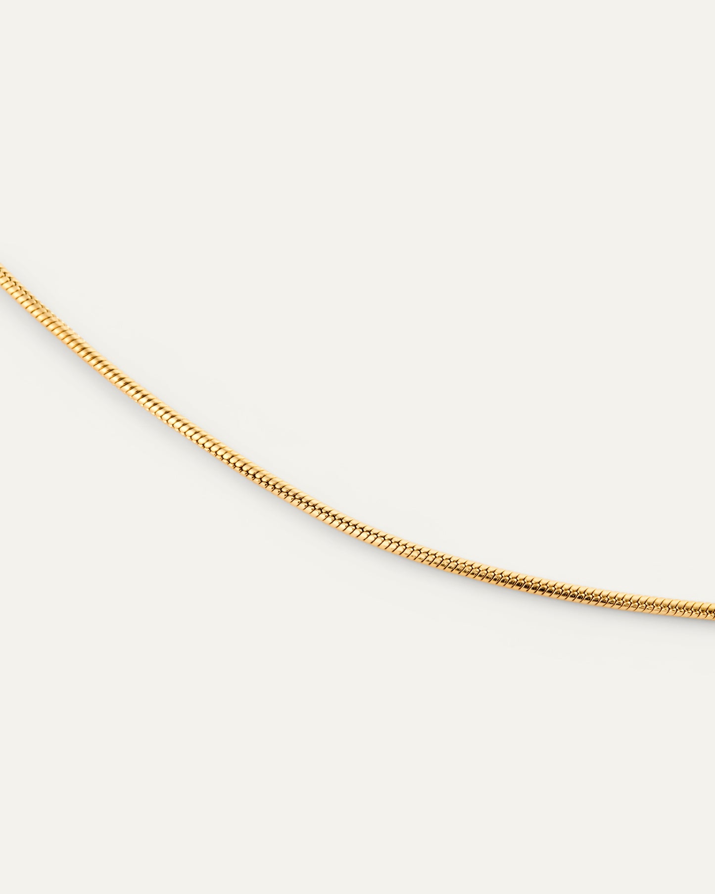 Snake Chain Bracelet