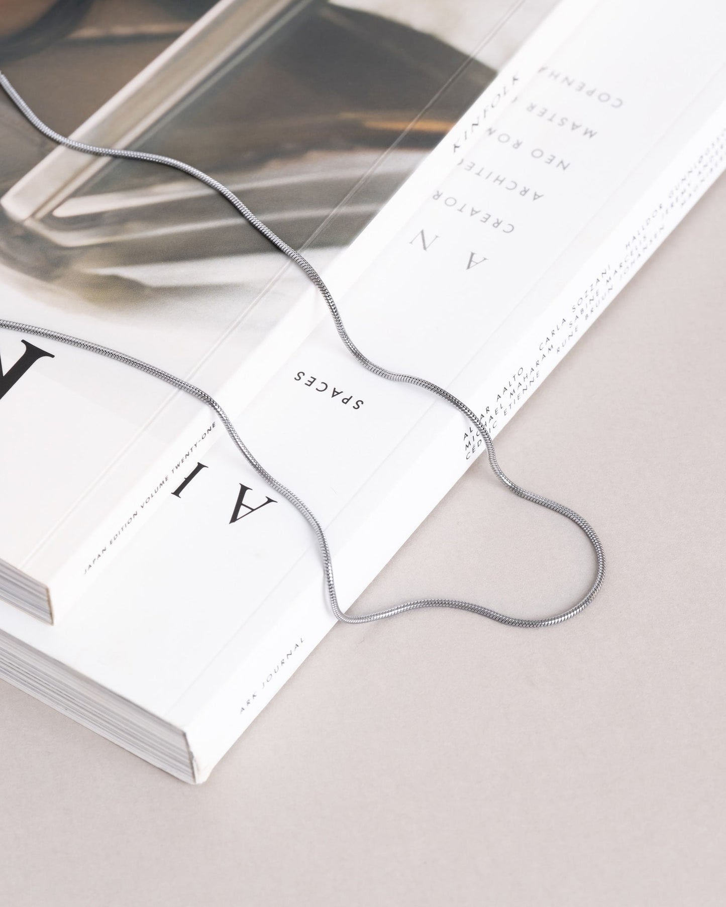 Snake Chain Necklace