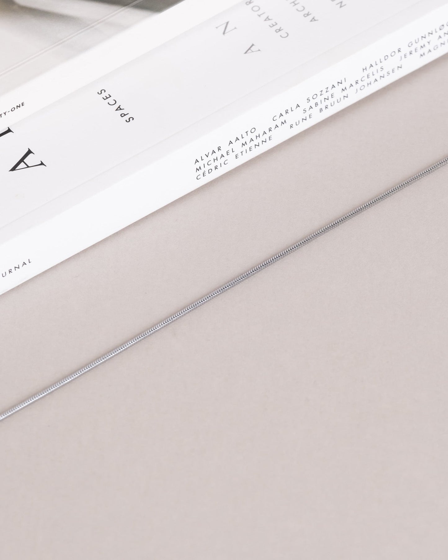 Snake Chain Necklace